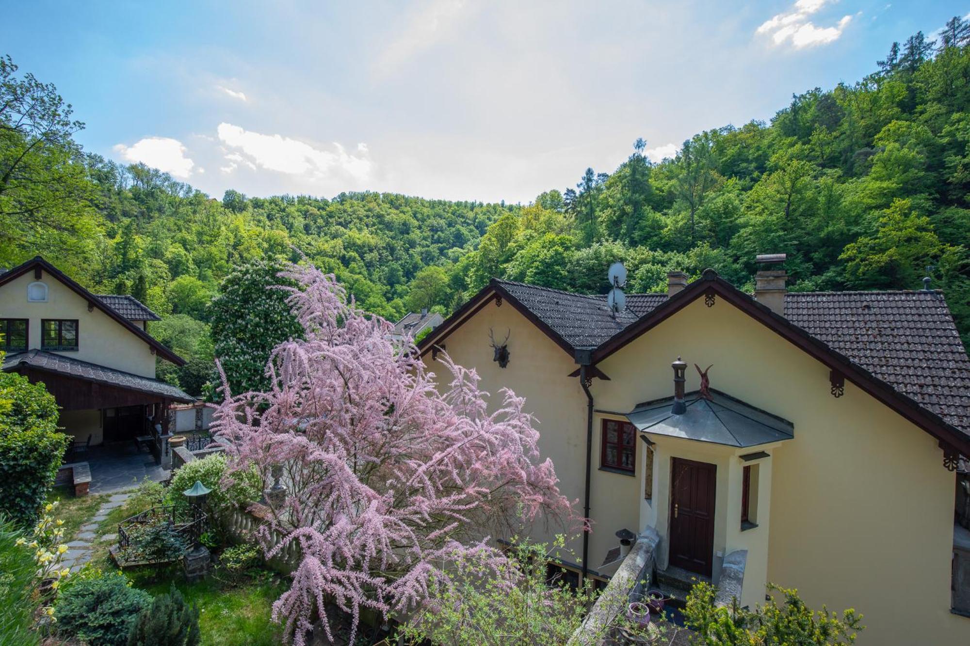 Resort U Jelena Кршивоклат Экстерьер фото